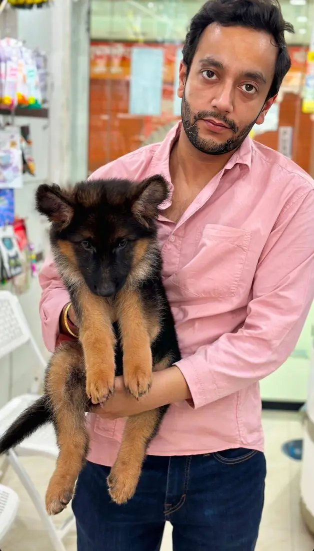 A FancyPaws puppy in its new home