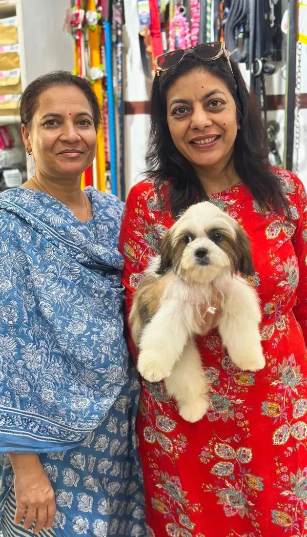 A FancyPaws puppy in its new home