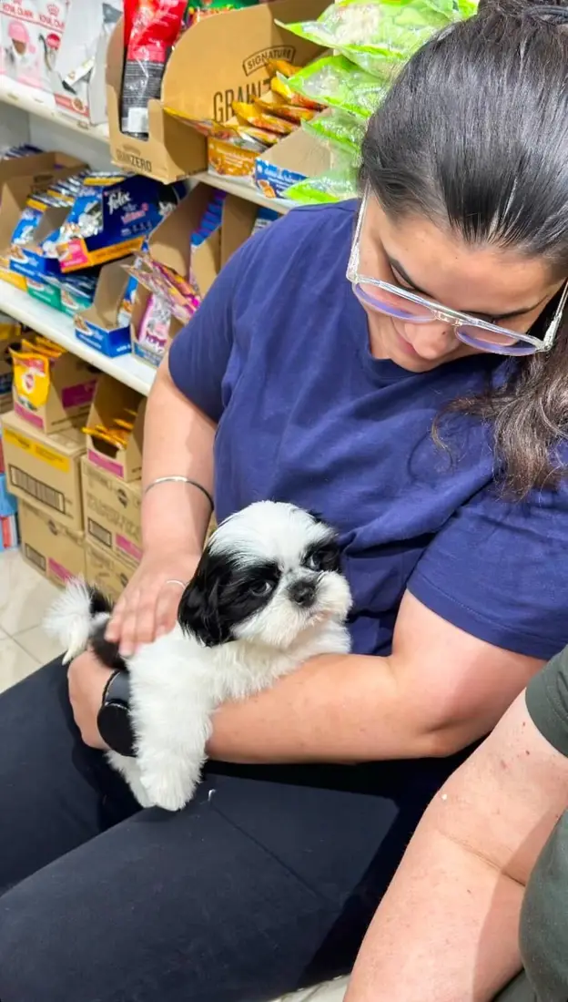 A FancyPaws puppy in its new home