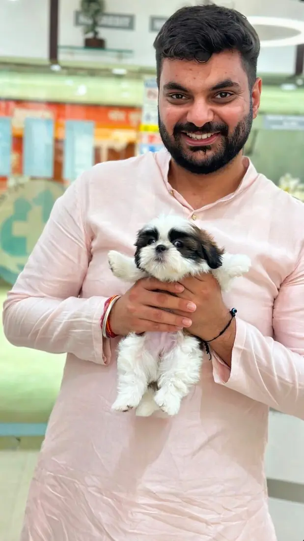 A FancyPaws puppy in its new home