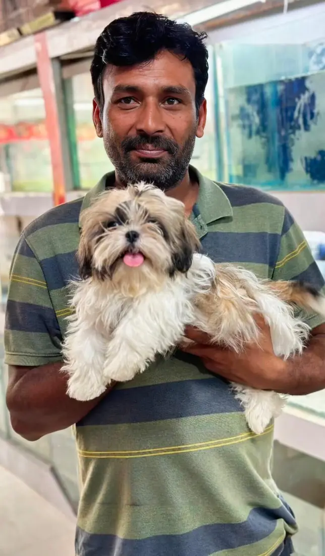 A FancyPaws puppy with its new family